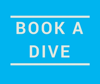 mope-beach-resort-book-dive-banner-300x300