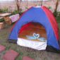 mope-beach-resort-tents-1